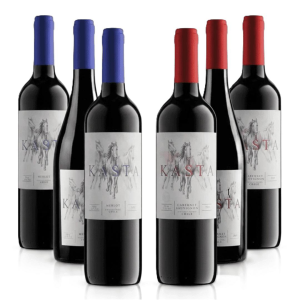 Kit 6 Vinho Tinto Kasta Bodega Tagua Tagua - Cx Mista ou Única